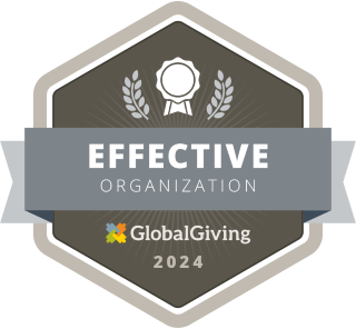 Effective Organization